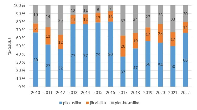 Hinttolan siikamuodot 2022