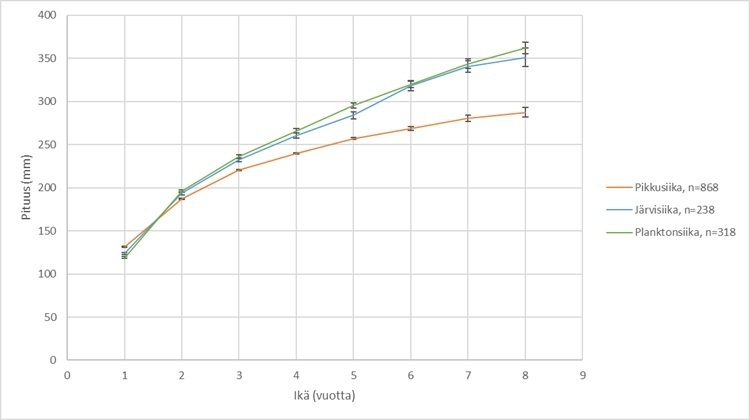 HINTTOLA siikamuotojen kasvu