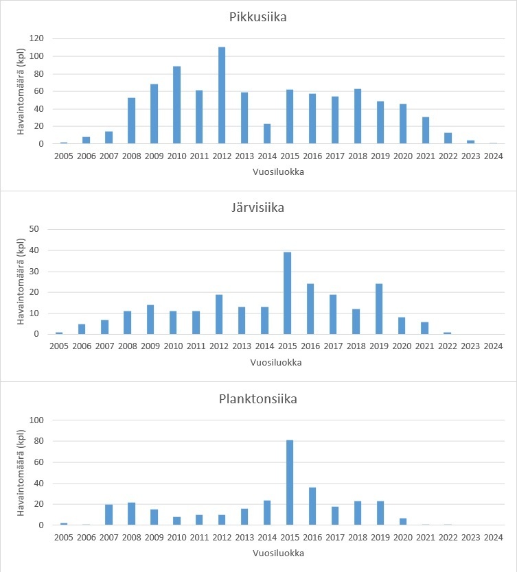 HINTTOLA Vuosiluokat
